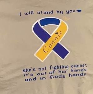 Meet your Posher, Ginger